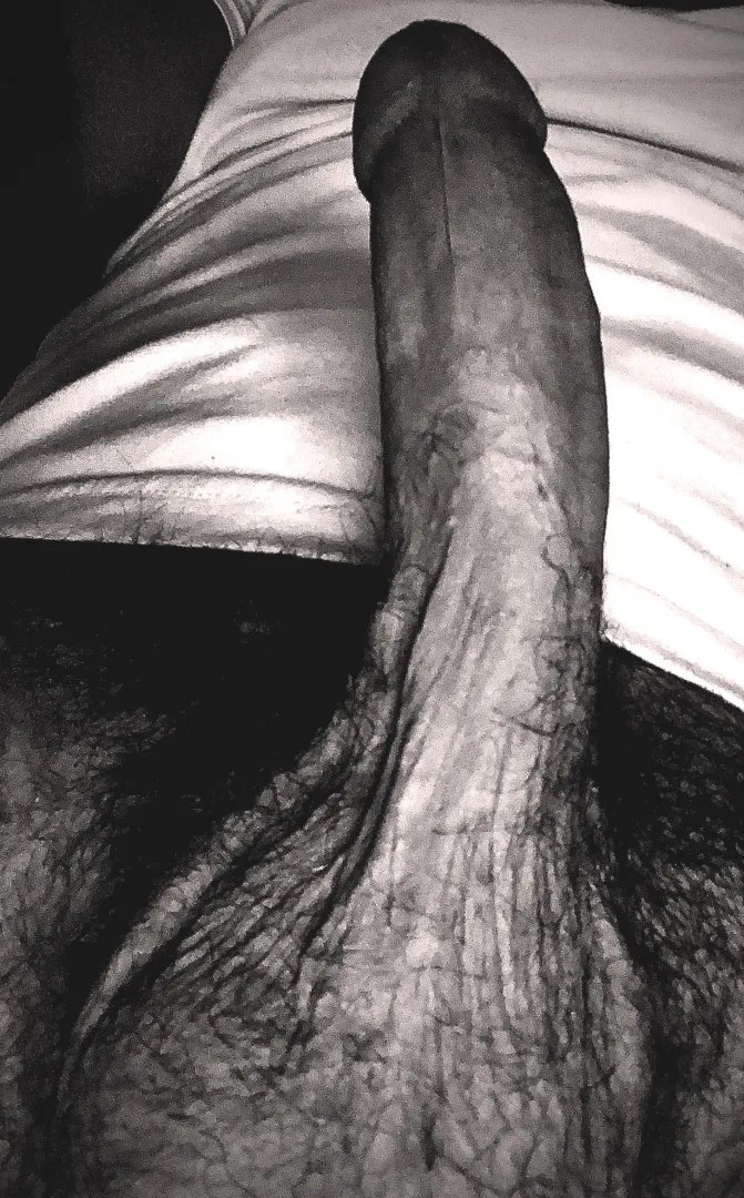 New account same cock posted by burghherout