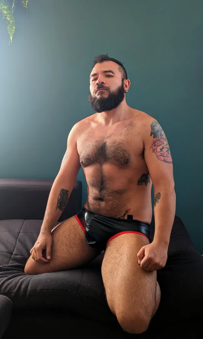 New bear bro posted by Gamerwerbear_