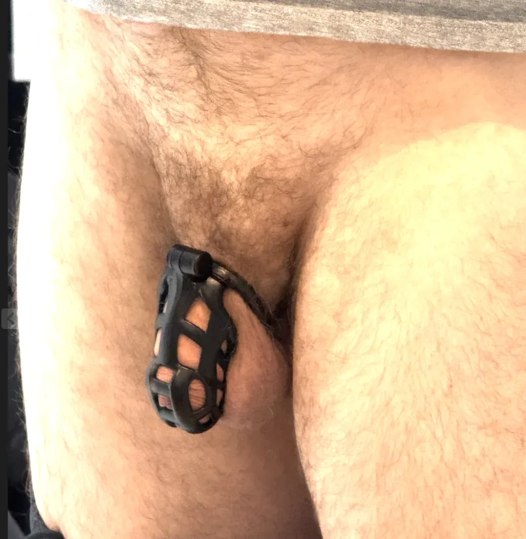 New Cage posted by Witty-Panic959