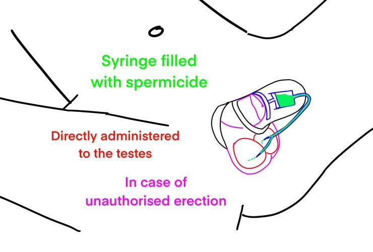 New chastity prototype. Would you sign up for the trial? by StrangerCompetitive
