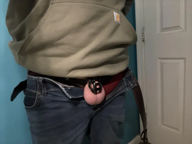 New cobra came today by Infamous-7498