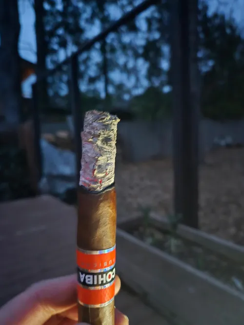 New fav by cantgetnobenediction