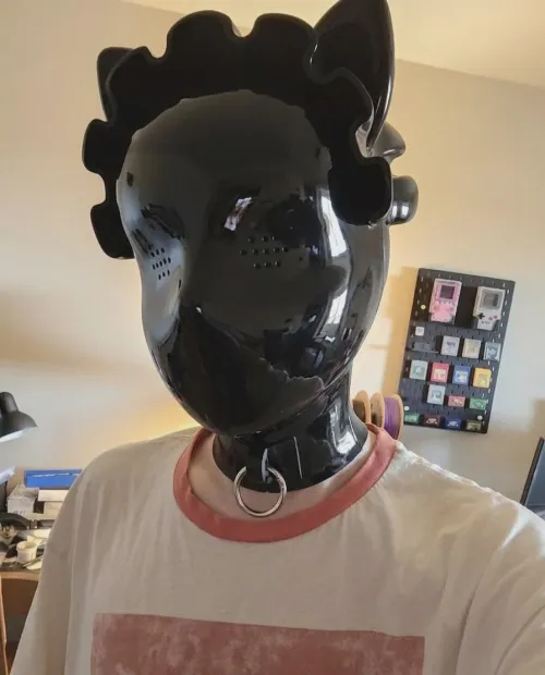 New hood came in! What should I pair it with?  by MoxxiebyProxxie