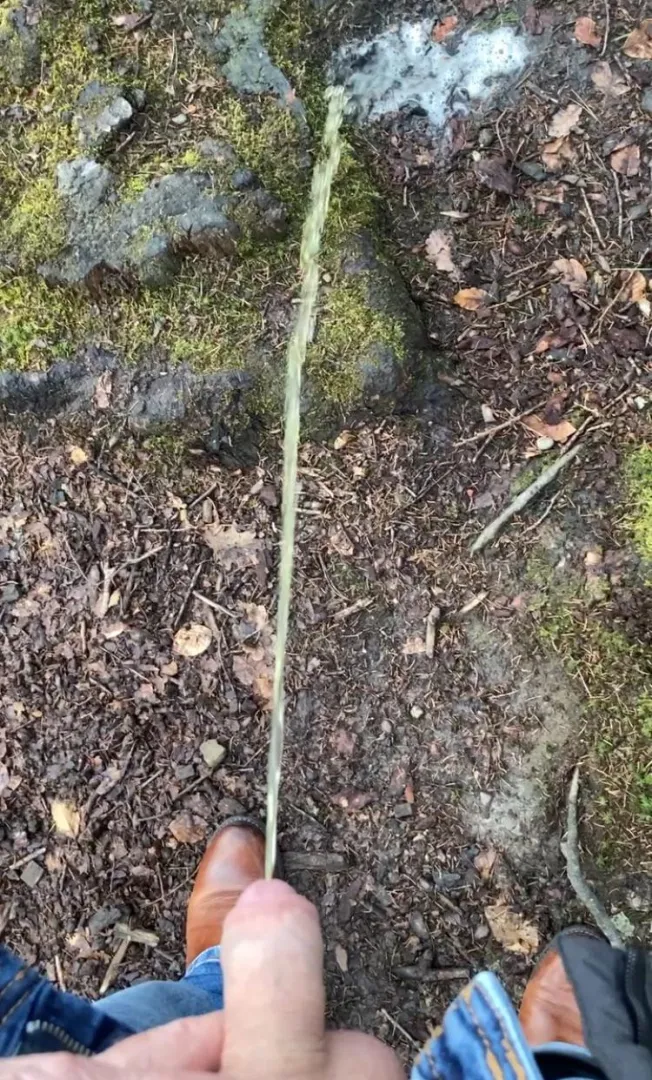 New pissing in the forest posted by Ludrouge641