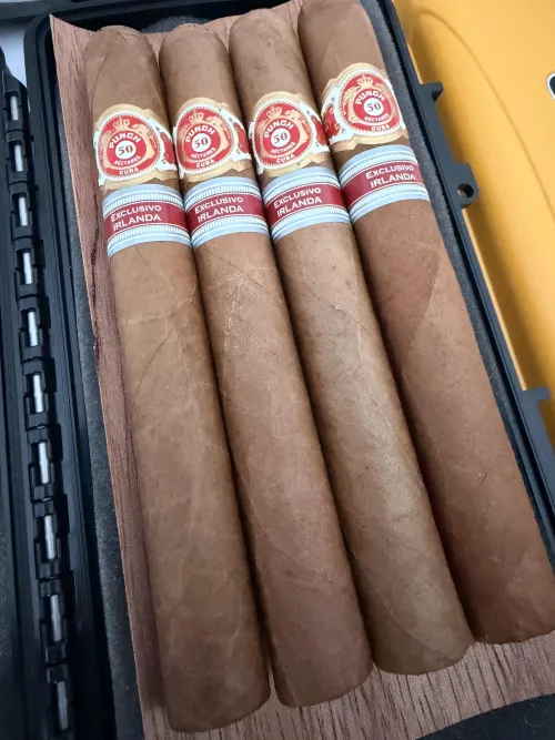 New Punch Nectares Ireland Regional Edition by mudz112