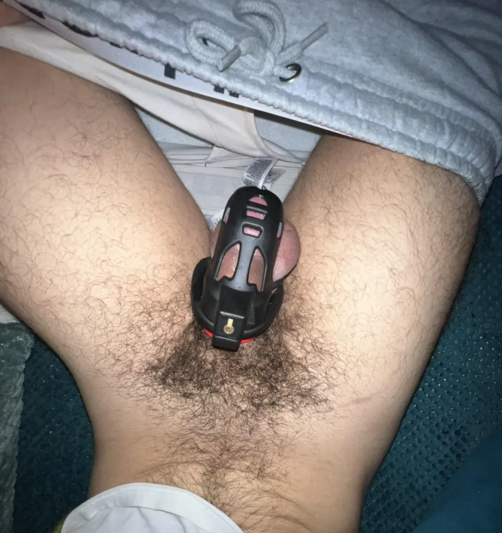 New to being a caged posted by Confident-Dingo-6627