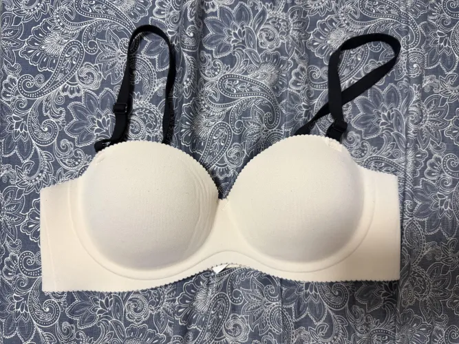 New toy for 2026 by Ok-Contribution-1901