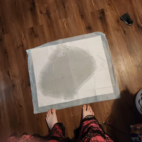 New video posted (aftermath here) by ErinAchres