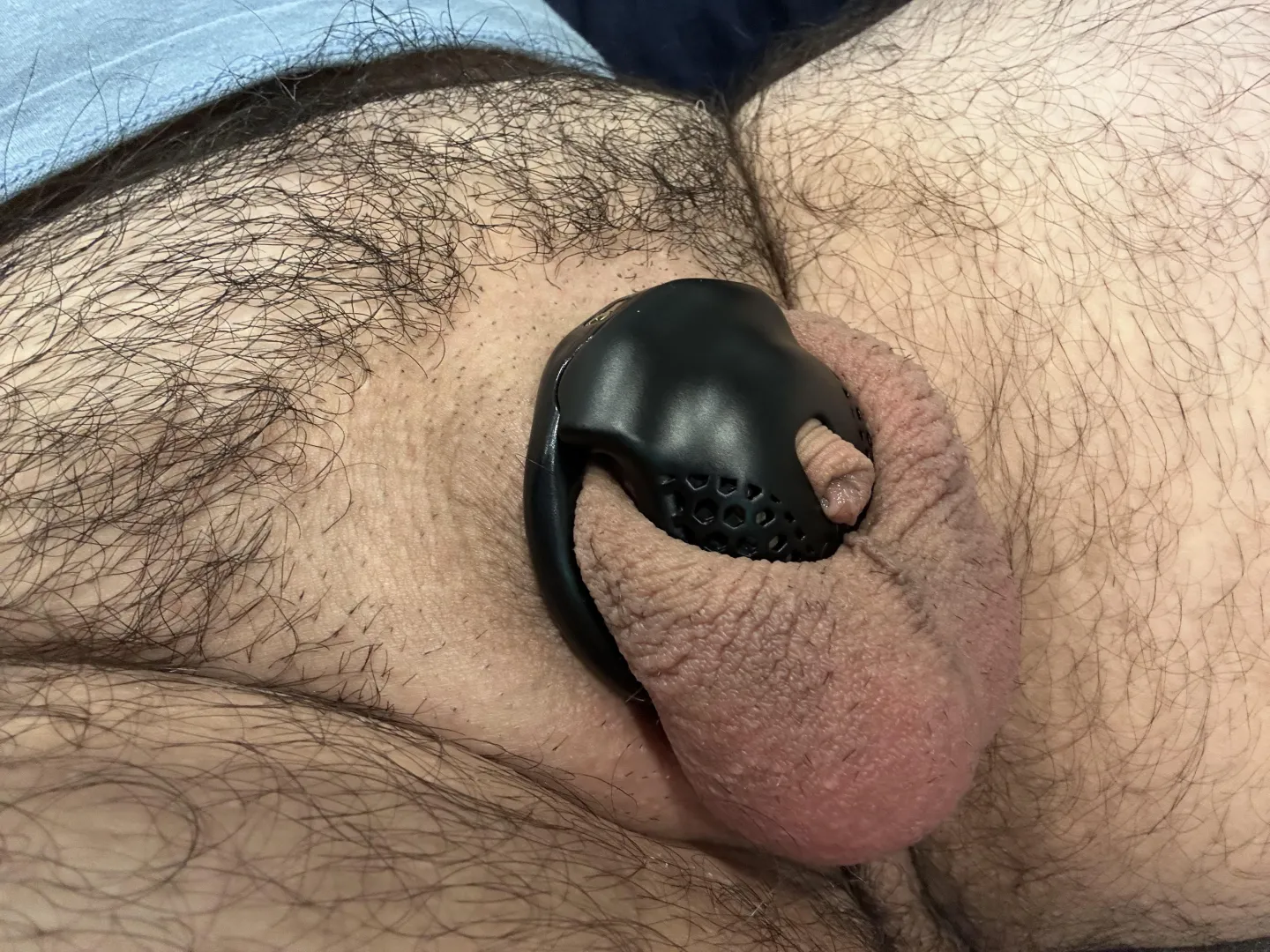 New Year, smaller cage posted by Thanos_78