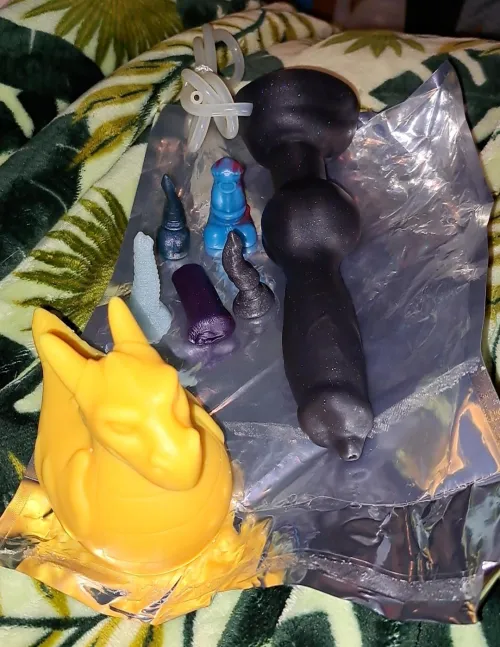 Newest purchases have arrived by ApprehensiveElk1632