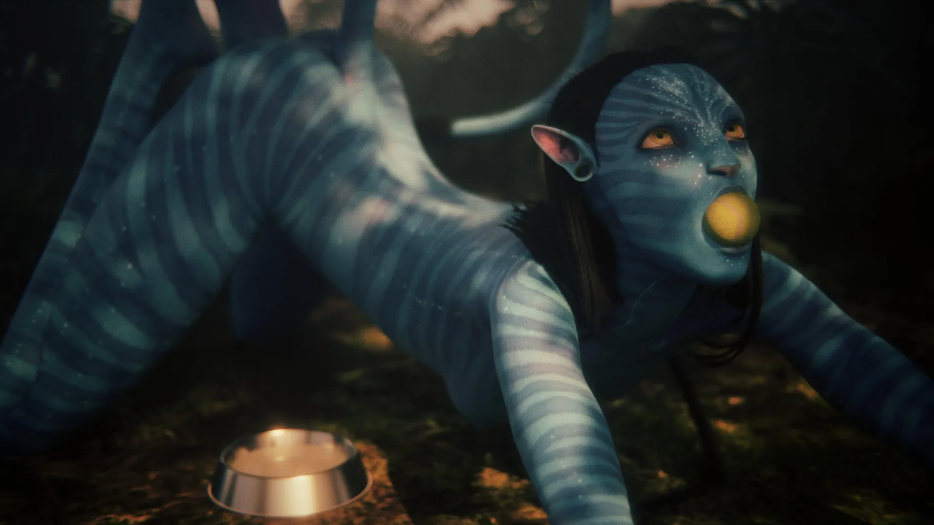 Neytiri plays fetch (gifdoozer) posted by NastinaX