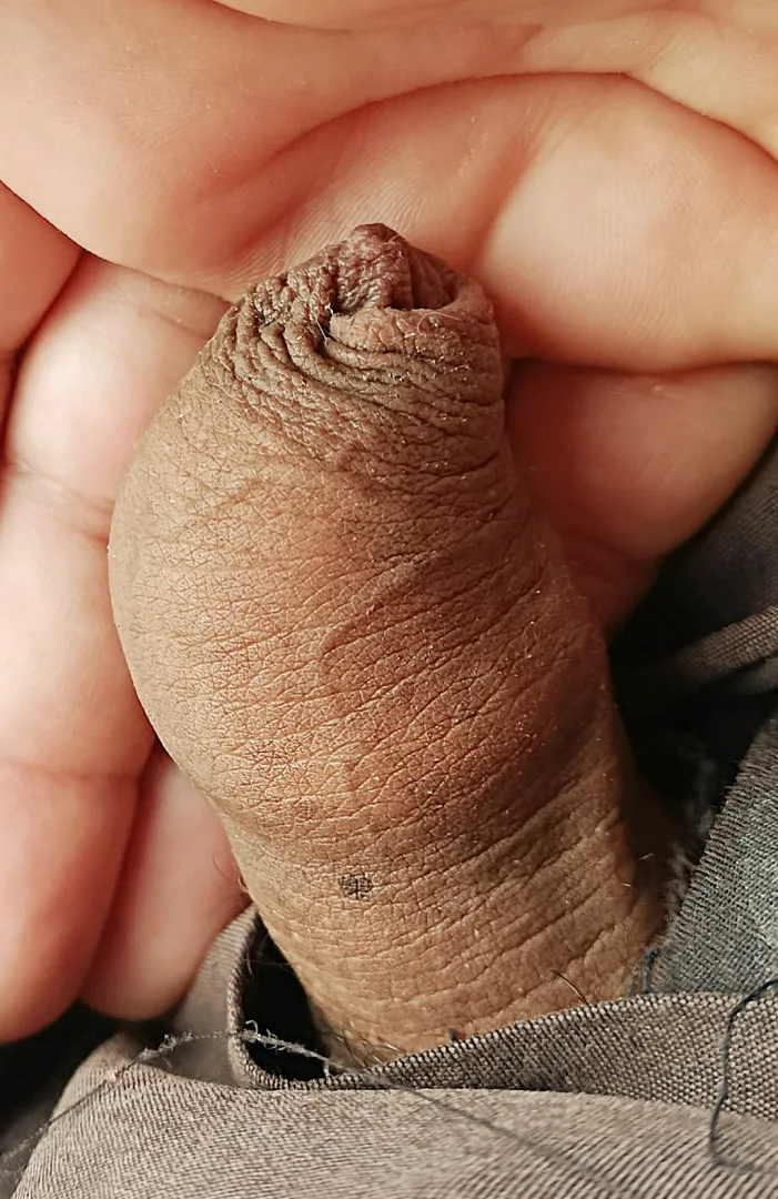 Nice? posted by Fancy_Safety_8291