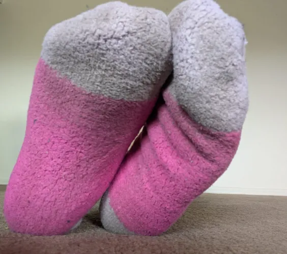 Nice and Fuzzy!  by WatermelonnSunn