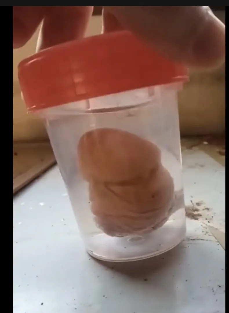 Nice keepsake posted by CRColt