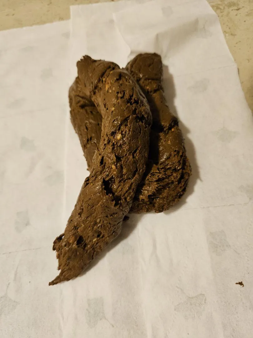 Nice pile today  posted by SafetyCurrent7748