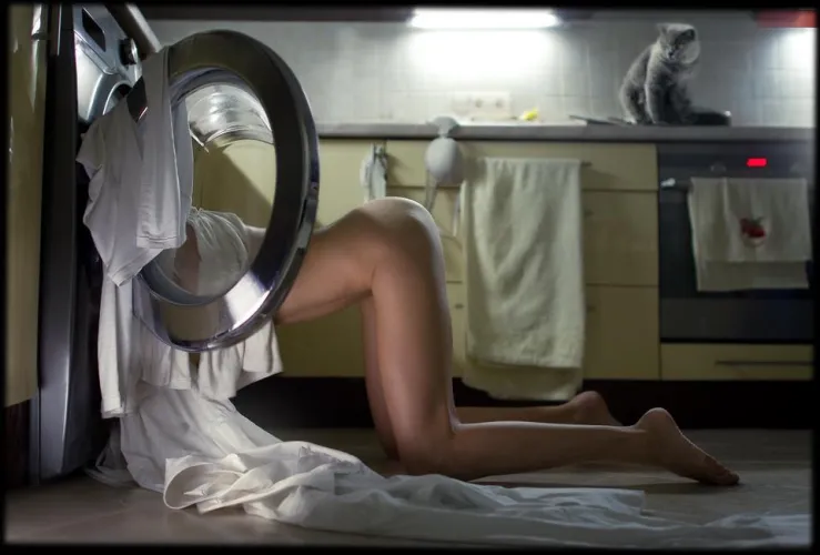 Nice view for the cat by toasterpedia