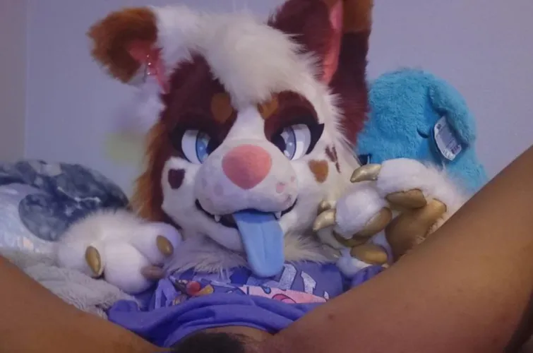 [Nikkis_pack] Well, would you want to see all of it? by nikkis_pack