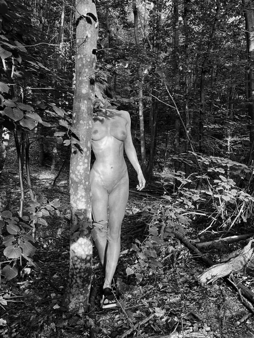 No big bad wolf here (OC) posted by digbick201480