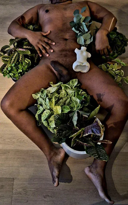 No bush in sight by techcorrer9