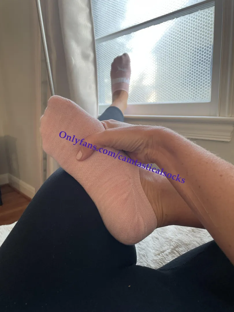 No show season? posted by camtasticalsocks