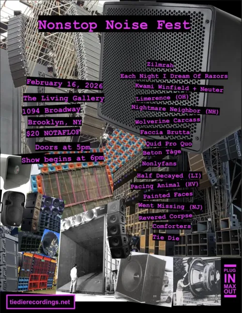 NONSTOP NOISE FEST - BROOKLYN, NY 2/16 by brndnkchrk