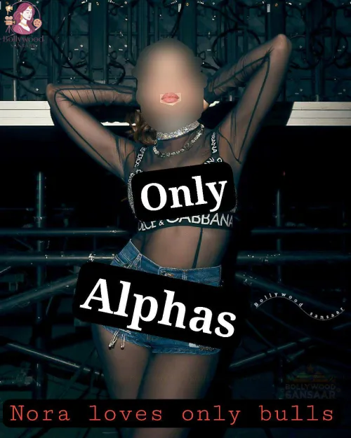 Nora loves only bulls by Ok-Broccoli2570