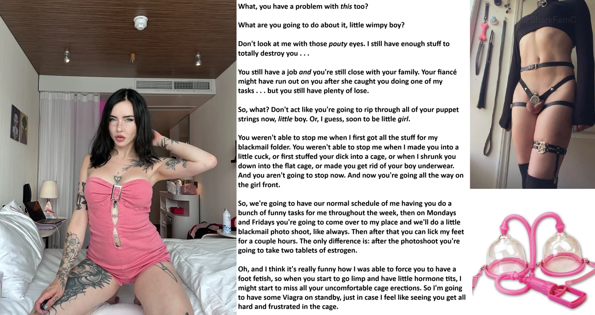 normal schedule (for destroying your life) posted by LadyOfGifts