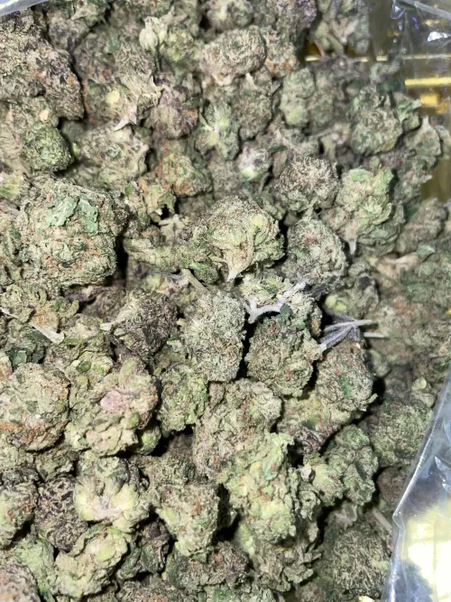 North Dallas by magnificentTay