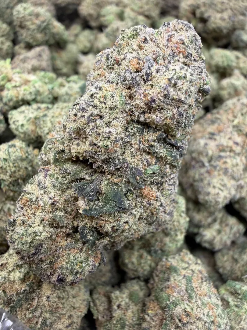 North Dallas posted by magnificentTay