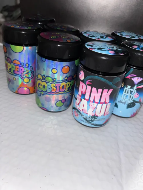 Northbay gardens/frutazoffical by Trix444kidz98