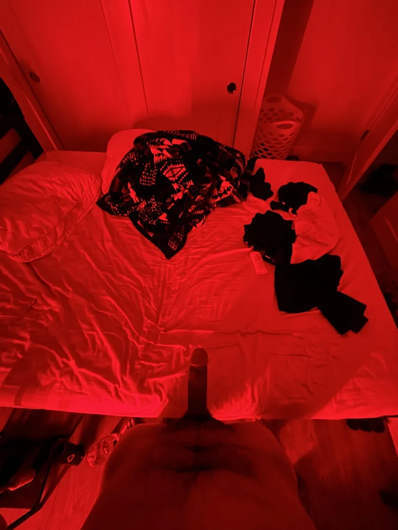 Northern Ute cock in PNW posted by nomadic_mayan1