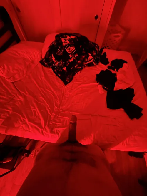 - Northern Ute Cock - by nomadic_mayan1