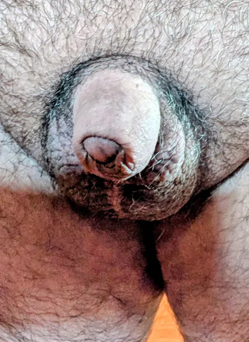 Not bad on chilly morning cleaning the house nude by DroidULook4_37