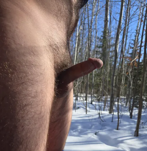 Not much beats a walk in the woods by bicurious1516