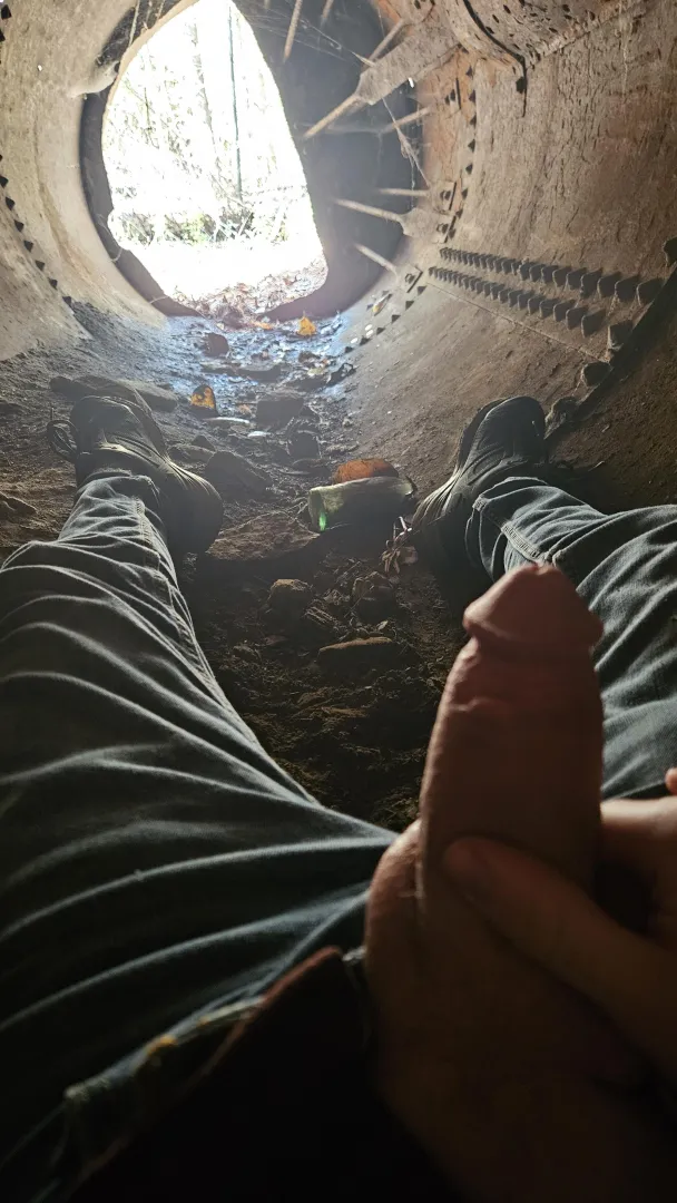 Not terribly risky, but definitely unique posted by musketammo684