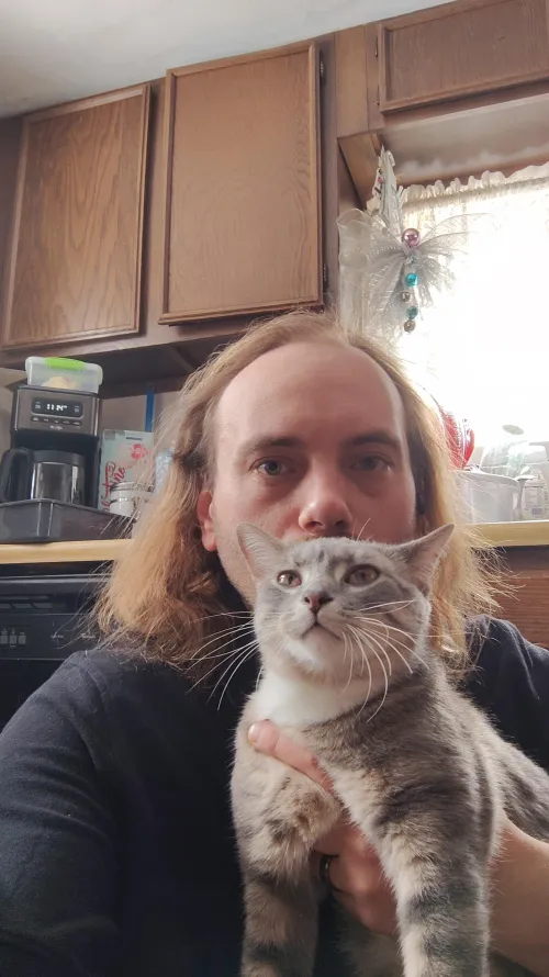 Not the kitty I want at the moment lol 36 m , why is Newberry so boring by Lazywolf-