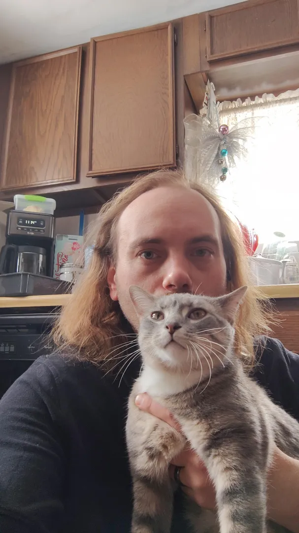 Not the kitty I want at the moment lol 36 m , why is Newberry so boring posted by Lazywolf-