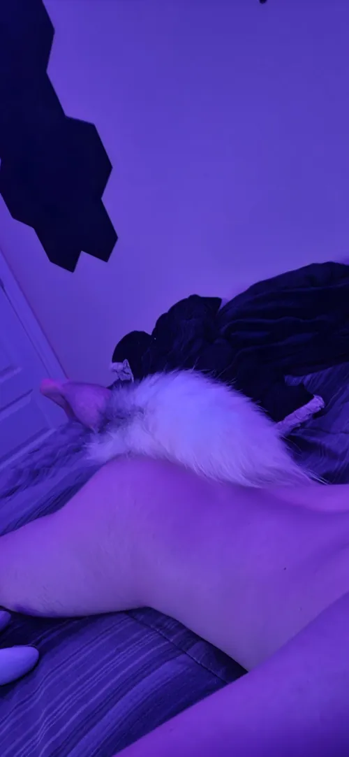 Nothing better than relaxing with your little fox tail ‍↔️ by HolidaySubstance1927