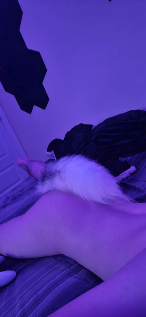 Nothing better than relaxing with your little fox tail ‍↔️ posted by HolidaySubstance1927