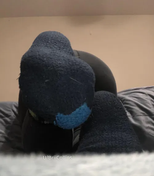 Nothing better than the scent of fuzzy socks want to find out? by BriiCollins