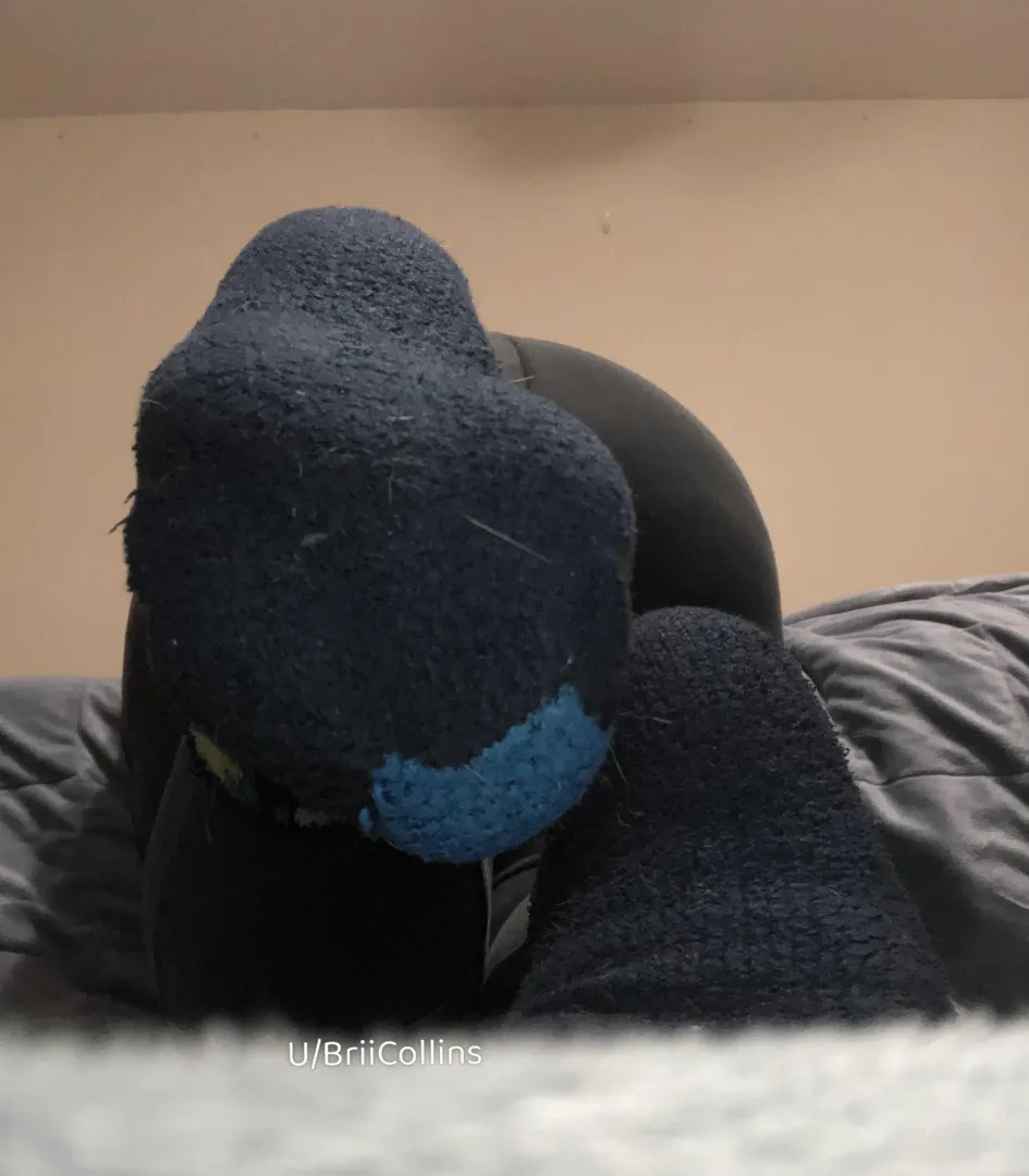 Nothing better than the scent of fuzzy socks want to find out? posted by BriiCollins