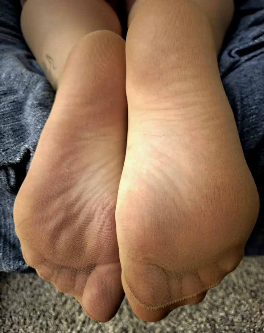 Nude nylons for tonight’s Cozy session  posted by cozysockdiary