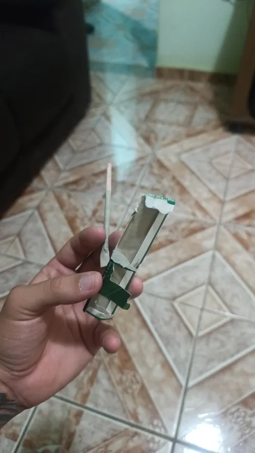 Não pode é ficar sem piteira by Alternative-Bite-787