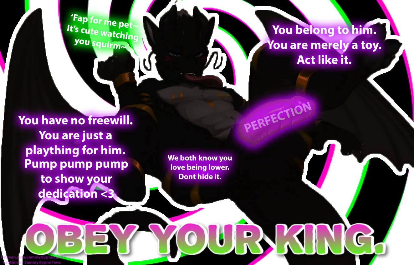 OBEY YOUR KING. DRAGONS ARE SUPERIOR. posted by SammyFemFan