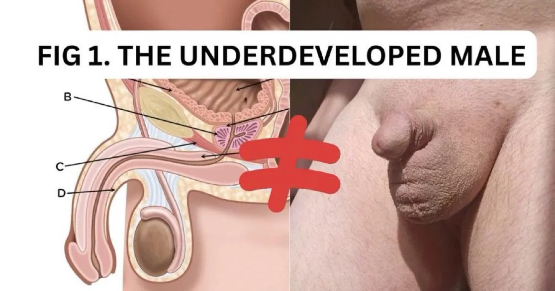 OBSERVE: how the inferior male bears no resemblance to a Man posted by silver-husky