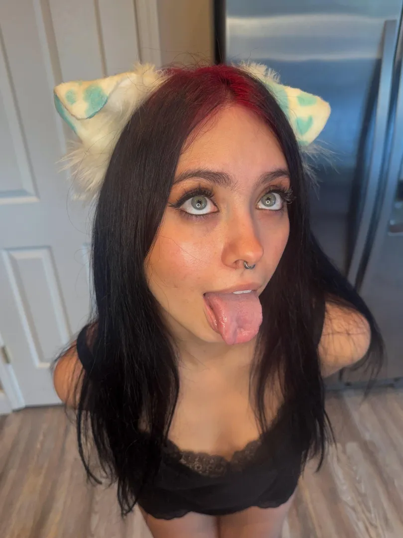 [OC] Casually begging for your attention posted by puppygirlluna