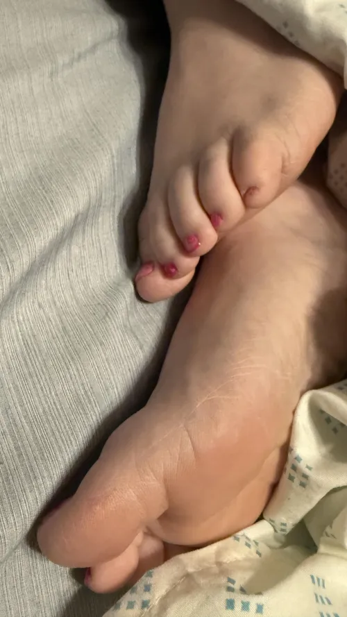 Oc see what I can get into by twnkltoes02