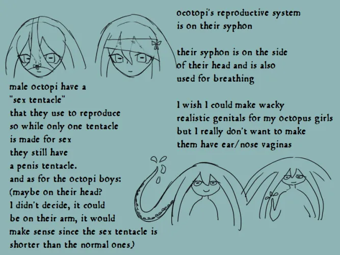 Octopi genitals: what I'm willing to make accurate and what I'm not by Zorubark