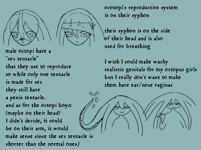 Octopi genitals: what I'm willing to make accurate and what I'm not posted by Zorubark