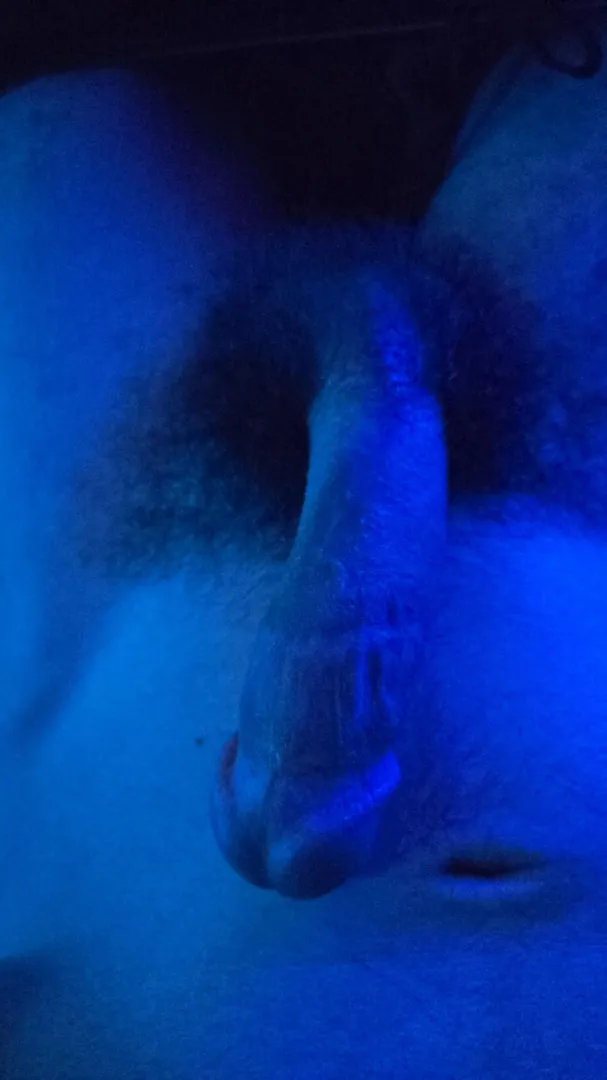 Off and free today and tomorrow  posted by dlgonzo713